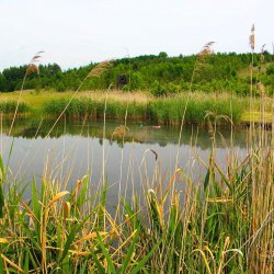 2014 Zachrany raket Jana Míckova